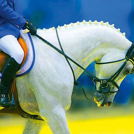 Art4Sale2 Nr.: 0005 Berlin von Willem Hartgers