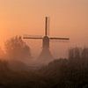 Lenteochtend bij de Noordeveldse Molen van Zwoele Plaatjes