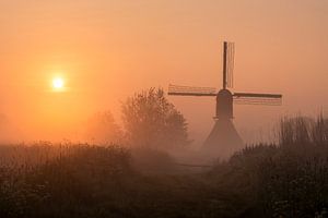 Matinée de printemps au moulin de Noordeveld