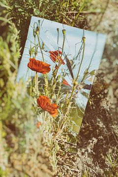 Broken Summer 2 by Karin van Bylevelt