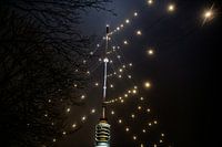 De grootste Kerstboom van de wereld schittert weer over Utrecht