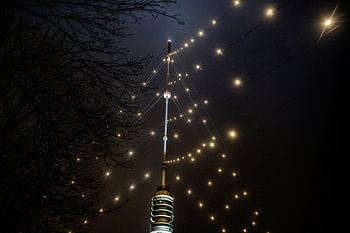 Der größte Weihnachtsbaum der Welt leuchtet wieder über Utrecht