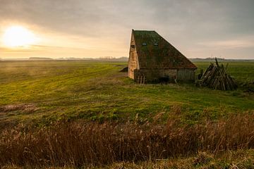 Lever de soleil à Schapenboet près de Den Hoorn Texel sur Ronald Timmer