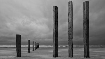 Naturschutzgebiet Noortvoort von Peter Bartelings