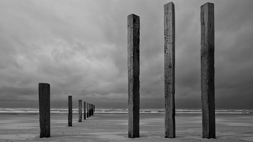 Natuurgebied Noortvoort