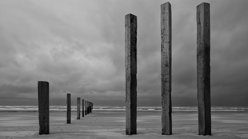 Noortvoort nature reserve by Peter Bartelings