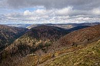 Le Honeck / Route des Cretes (Vogezen) van Rob Boon thumbnail
