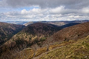 Le Honeck / Route des Cretes (Vogesen)