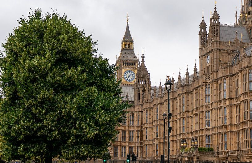 Big Ben en Westminster Hall in Groot-Brittannië typisch Engels weer van Animaflora PicsStock