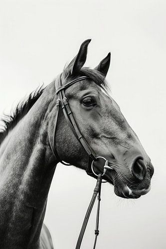 Fier Paardenhoofd in Zwart-Wit