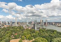 The Erasmus Bridge from the Euromast in Rotterdam