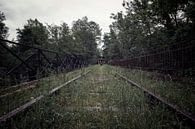 An old abandoned train on an old track by Steven Dijkshoorn thumbnail