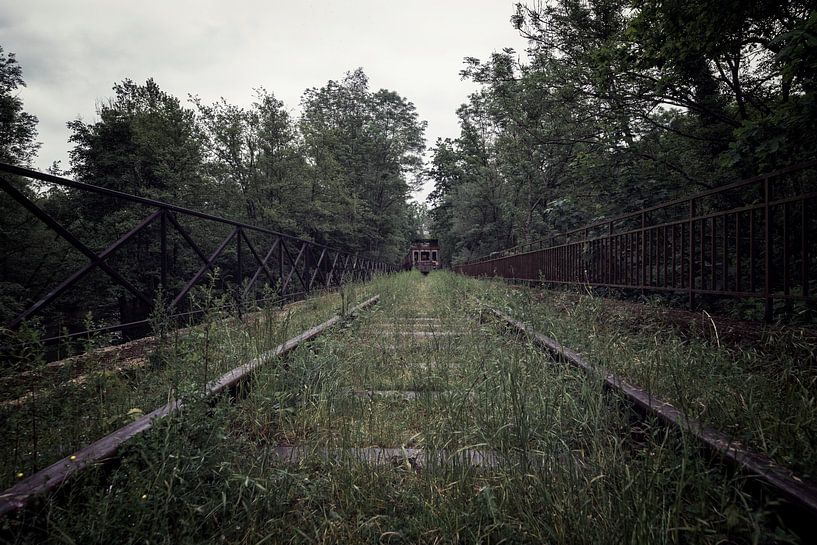 Een oude verlaten trein op een oud spoor van Steven Dijkshoorn