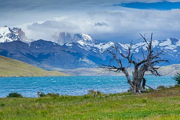 Torres del Paine National Park, Chile von Marcel Bakker