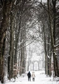 Winter in Holland von Henk Leijen