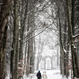 Winter in Holland van Henk Leijen