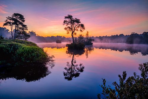 Oisterwijkse Bossen en Vennen