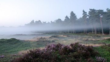 Nebelstreifen entlang des Waldes Leuvenum von Maurice Verschuur