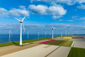 Windkraftanlagen mit Tulpen in landwirtschaftlichen Feldern im Hintergrund