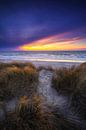 Texel. by Justin Sinner Photography (Photographer on Texel) thumbnail