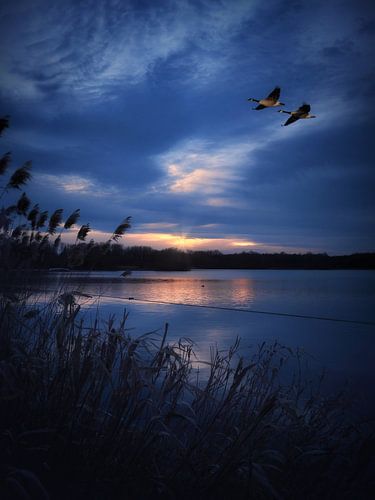 Zonsondergang in De Gavers