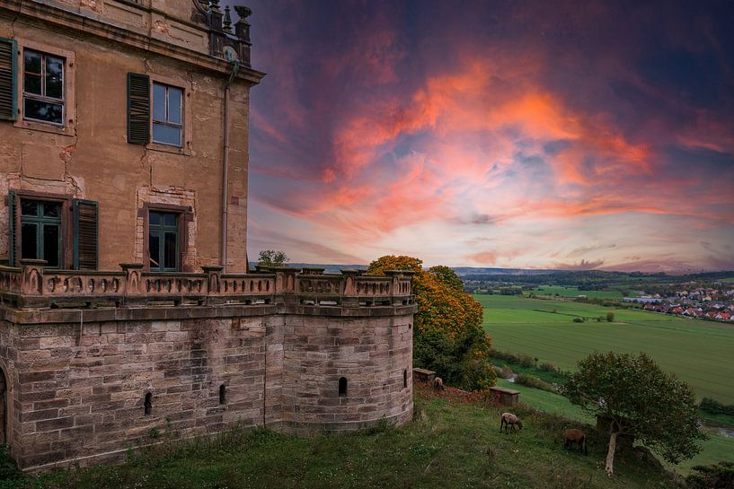 LOST by Tim Lee Williams