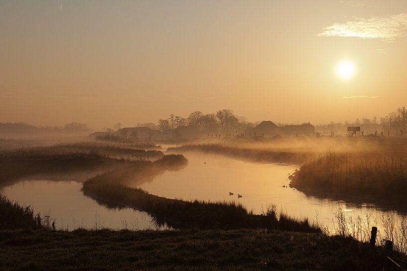 Spring sun by Jan Vos
