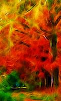 Bäume im Herbst