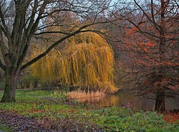 Drei Herbstfarben von Ruud Krispijn