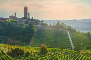 Der historische Turm von Barbaresco überragt die Weinberge der Langhe