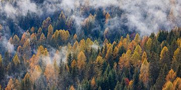 Herfst in de Dolomieten, Italië van Henk Meijer Photography