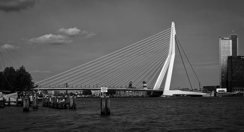 Erasmus-Brücke in Rotterdam, Niederlande / schwarz und weiß von Lorena Cirstea