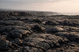 Côte de lave noire – La nature sauvage du littoral volcanique sur ButterflyPix