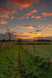 Pad naar de ondergaande zon von Maurice Hertog