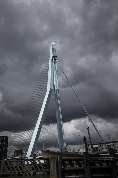 Erasmusbrücke in Rotterdam vor einem dunklen Hintergrund. Wout Kok One2expose von Wout Kok