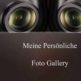 Gallery Profilfoto