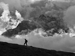 Solitude van Menno Boermans