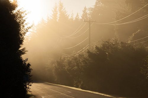 Sonnenuntergang Waldstraße von Stefan Verheij
