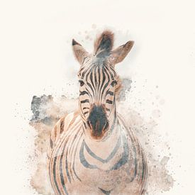 "Portret van een zebra" - Photography & Art van - GreenGraffy -