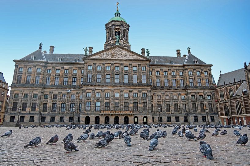 Peaceful Dam full of pigeons during the Corona crisis by Eye on You