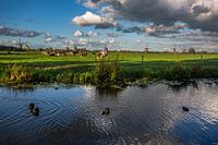 Hollands Landschap