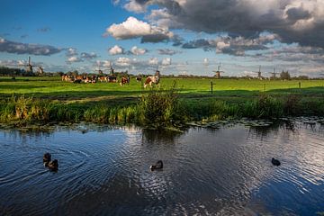 Hollands Landschap van Willem Klopper