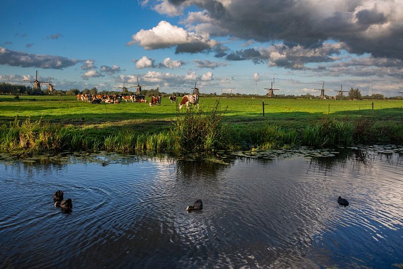 Dutch landscape by Willem Klopper