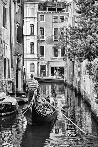 Gondolier