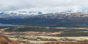 Les montagnes du parc national de Rondane en Norvège
