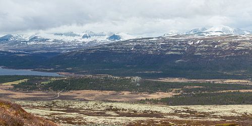 De bergen van nationaal park Rondane in Noorwegen