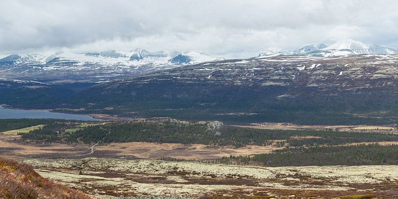 De bergen van nationaal park Rondane in Noorwegen van Arja Schrijver Fotografie