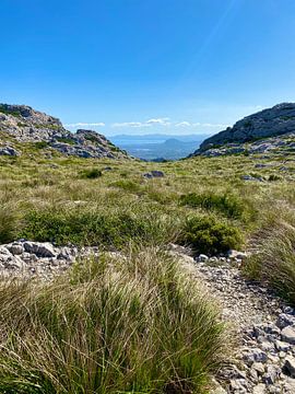 Mallorca - Paysage sur Marek Bednarek