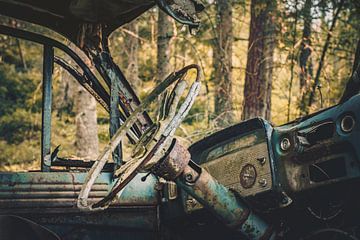 Car Cemetery by rosstek ®