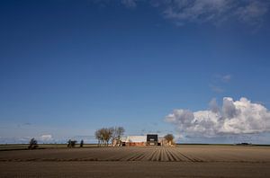 Bauernhof im Groninger Noordpolder